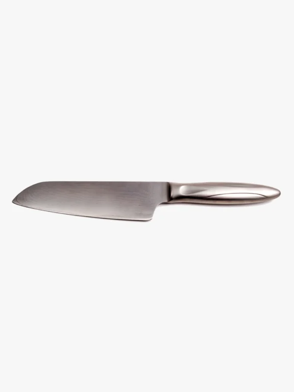 Professional Chef Knife